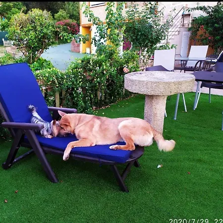 酒店 Vilar Norte 布埃乌