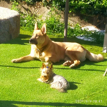 Vilar Norte ブエウ