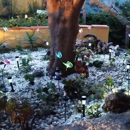 Vilar Norte 酒店 布埃乌