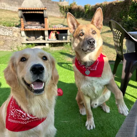 Vilar Norte 酒店 *